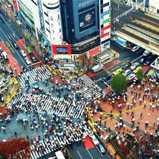 Tokyo: Luxury Tokyo Private City Tour In Luxury Land Cruiser - Customizable Experiences