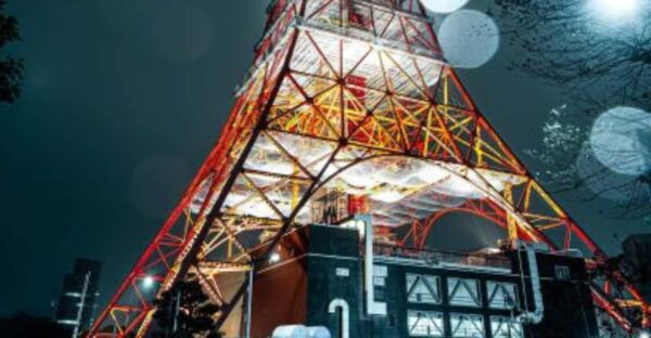 Tokyo: Luxury Tokyo Private City Tour In Luxury Land Cruiser - Important Information