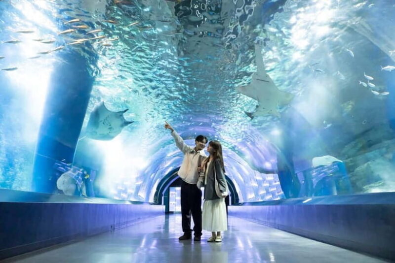 Tokyo: Maxell Aqua Park Shinagawa Direct Entry Ticket - What to Expect from Your Visit