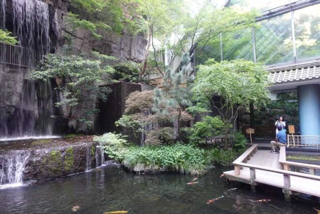 Tokyo Meguro River Private Cultural Tour With Licensed Guide - Meeting Point