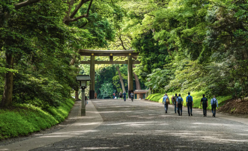 Tokyo Meiji Jingu & Harajuku 2-Hour Experience with Kawaii Culture - Key points to know