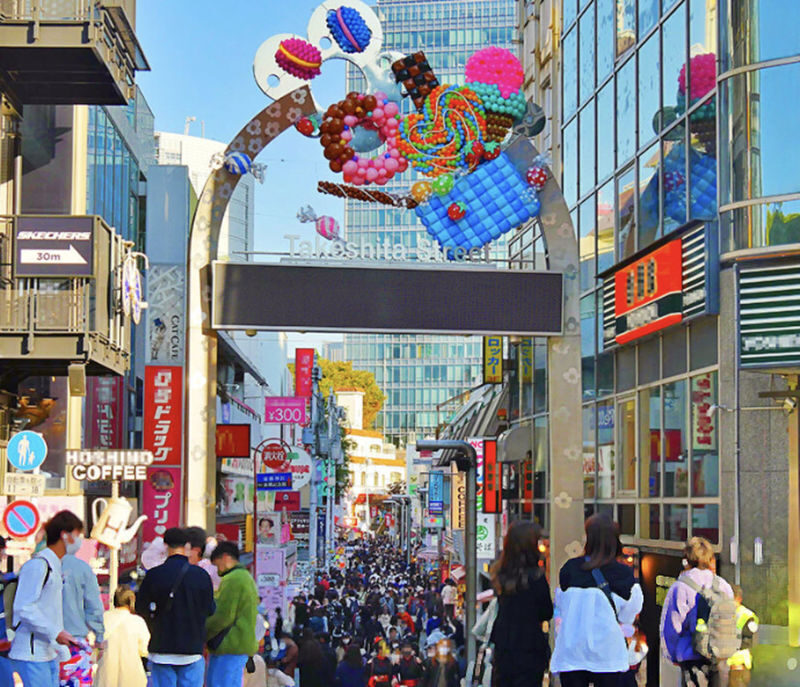 Tokyo Meiji Jingu & Harajuku 2-Hour Experience with Kawaii Culture - What a guide brings to the walk