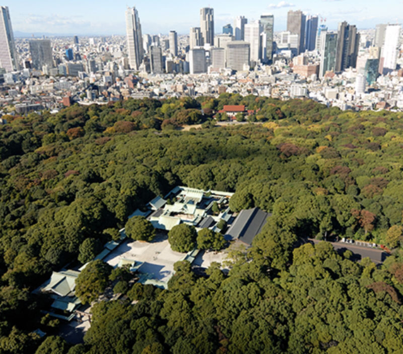 Tokyo Meiji Jingu & Harajuku 2-Hour Experience with Kawaii Culture - Is $25.25 good value?