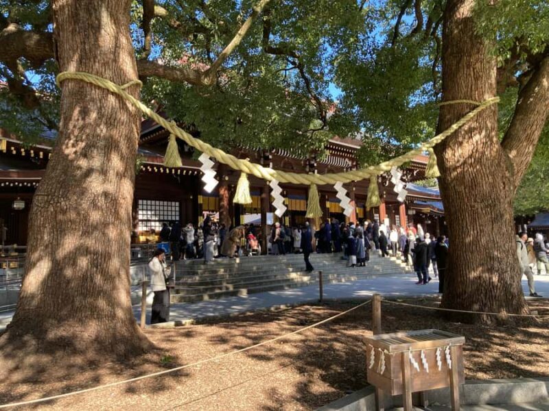 Tokyo: Meiji Jingu Historical Walk and Food Tasting Tour - Good To Know