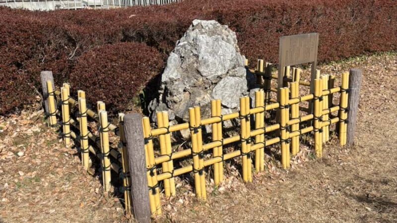 Tokyo: Meiji Jingu Historical Walk and Food Tasting Tour - Who Will Love This Experience?