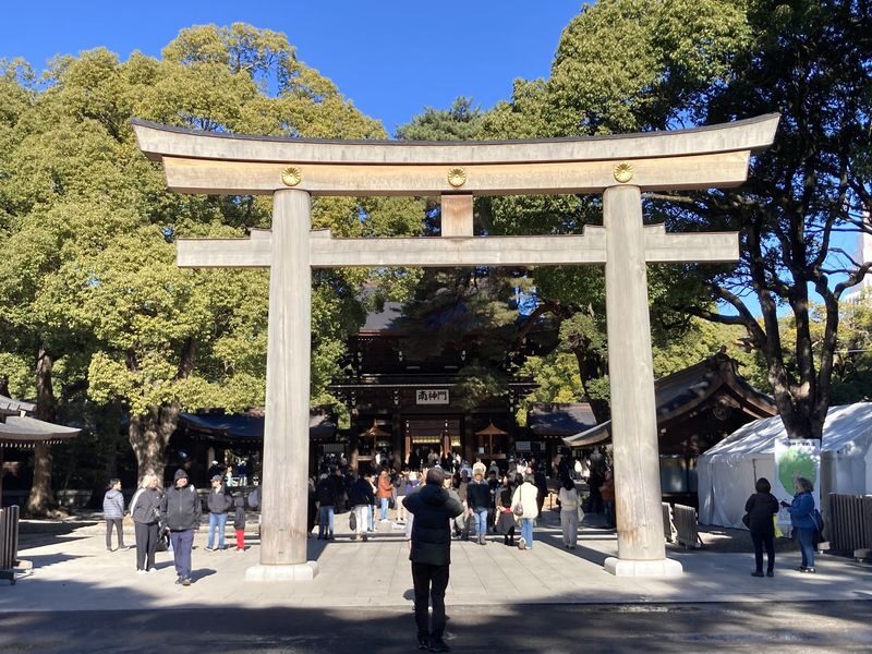 Tokyo: Meiji Jingu Historical Walking Tour with an expert guide - What to know before you book
