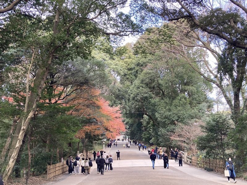 Tokyo: Meiji Jingu Historical Walking Tour with an expert guide - Sake barrels and the larger torii