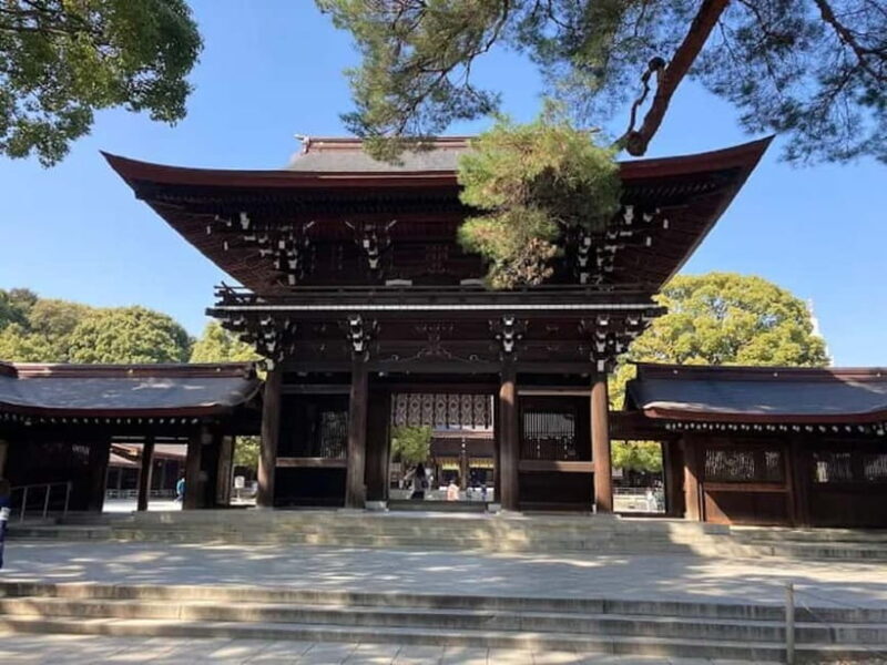 Tokyo: Meiji Jingu & Kanda Myjin guided tour - Overview of the Experience