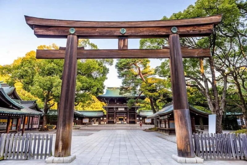 Tokyo: Meiji Jingu & Kanda Myjin guided tour - Is This Tour Worth the Price?