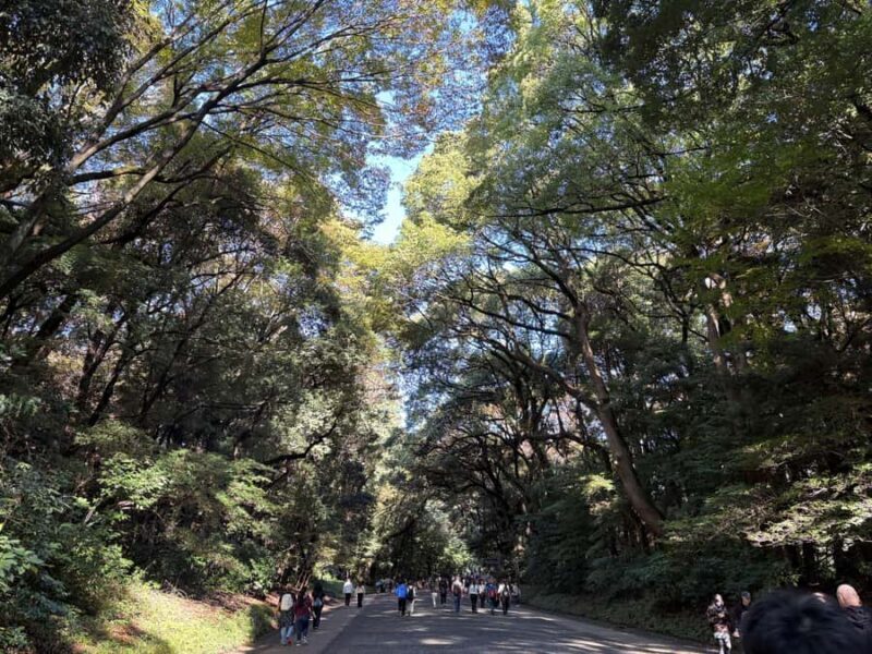 Tokyo: Meiji Jingu Shrine, Forest & Imperial Garden - Discovering Tokyo’s Hidden Spiritual Corners