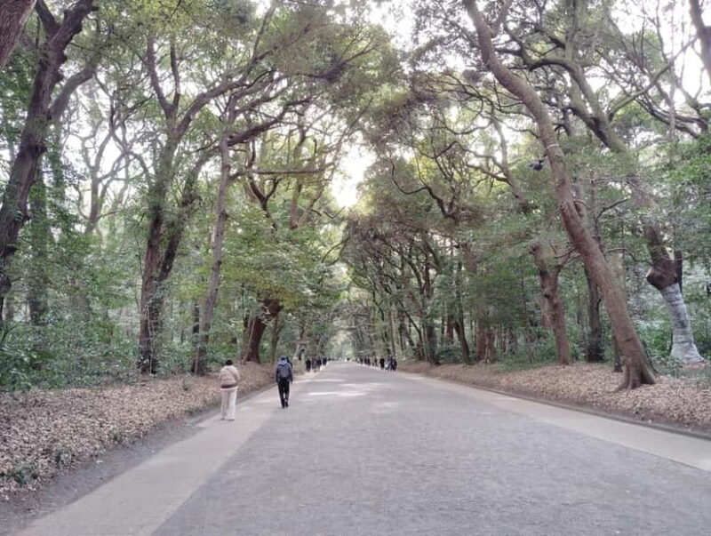Tokyo: Meiji Jingu Shrine & Inner Garden Guided Tour (2h) - The Authenticity and Experience: What Travelers Say