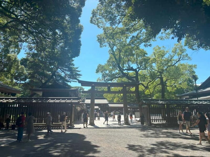 Tokyo: Meiji Jingu, Yoyogi Park & Takeshita Street Tour - FAQ