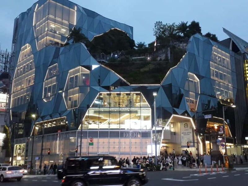 Tokyo: Meiji Jingu, Yoyogi Park & Takeshita Street Tour - Who Would Enjoy This Tour?  