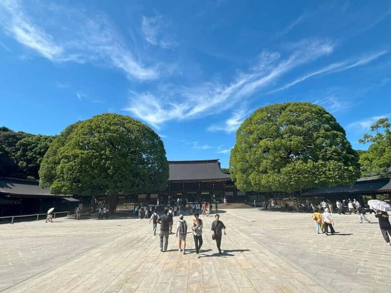 Tokyo: Meiji Jingu, Yoyogi Park & Takeshita Street Tour - Final Thoughts  