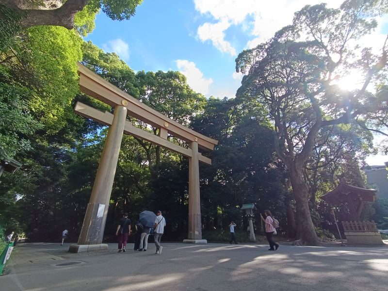 Tokyo Meiji Shrine Cultural Guided Walking Tour - At a glance