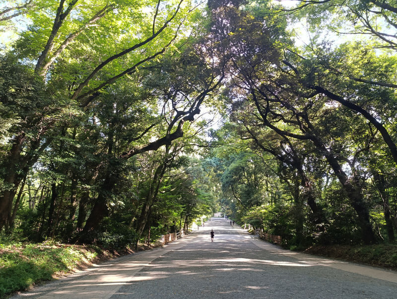 Tokyo Meiji Shrine Cultural Guided Walking Tour - Is the $14.39 starting price good value?