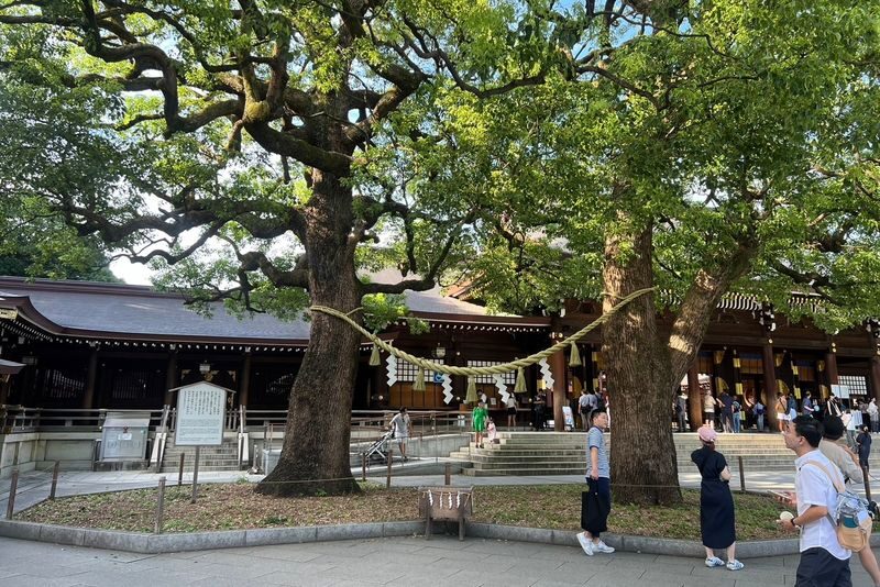 Tokyo Meiji Shrine Cultural Guided Walking Tour - The guide can shape the visit