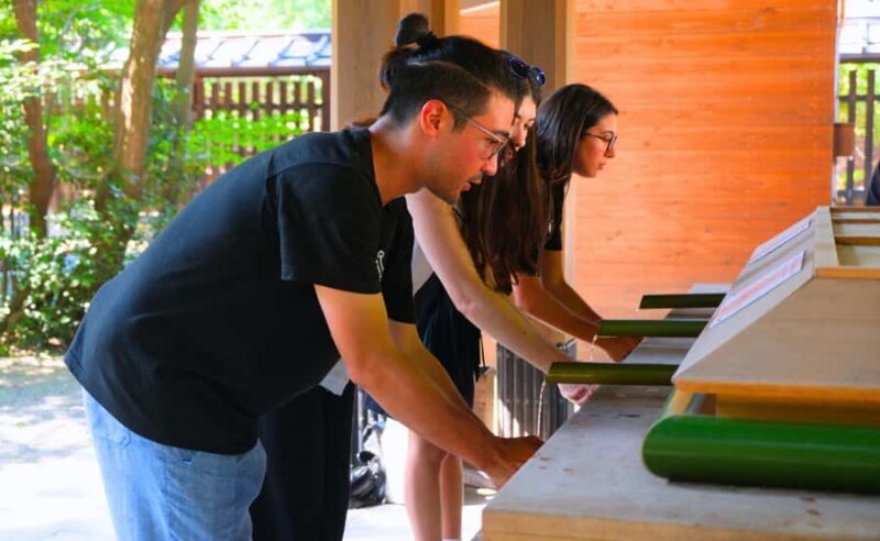 Tokyo Meiji Shrine & Harajuku: Walk Through Japanese Culture - The Value and Who It’s For