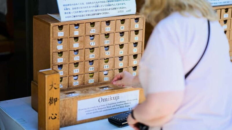Tokyo: Meiji Shrine Walking Tour  Shinto & Imperial System - Practical Details & Tips