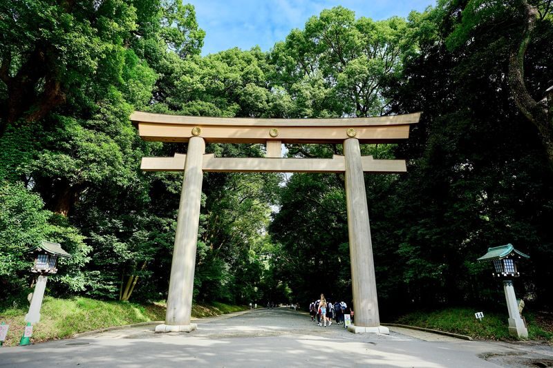 Tokyo: Meiji Shrine Walking Tour - Shintoism & Imperial System - From Harajuku Station to the shrine forest