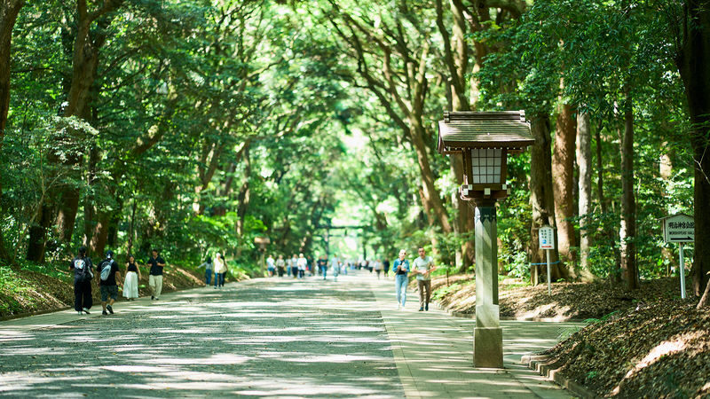 Tokyo: Meiji Shrine Walking Tour - Shintoism & Imperial System - Walking beneath the 100,000 trees