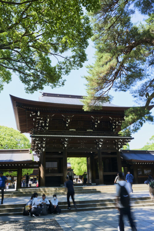 Tokyo: Meiji Shrine Walking Tour - Shintoism & Imperial System - What the 90 minutes are likely to feel like
