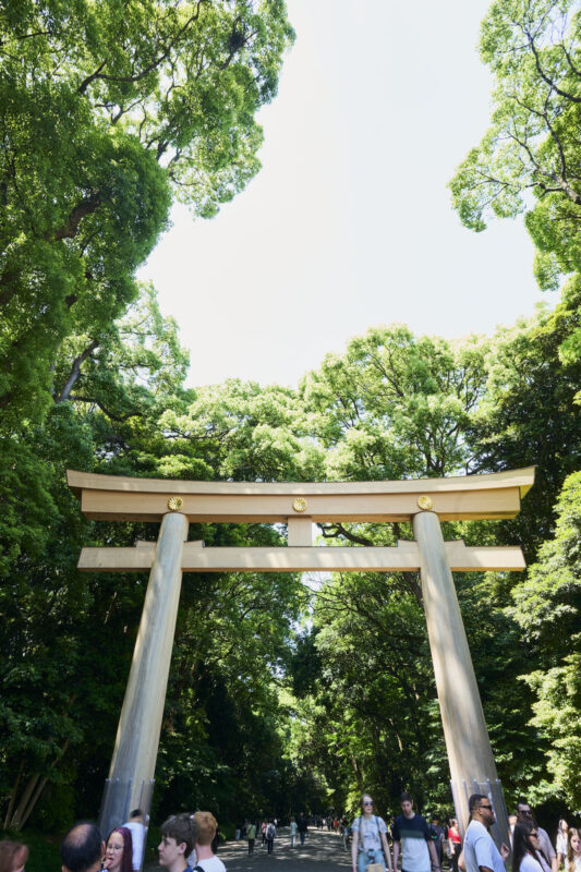 Tokyo: Meiji Shrine Walking Tour - Shintoism & Imperial System - What you get for the price