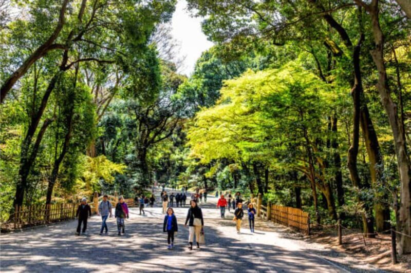 Tokyo: Meiji Shrine Walking Tour with Local Japanese Guide - The Sum Up