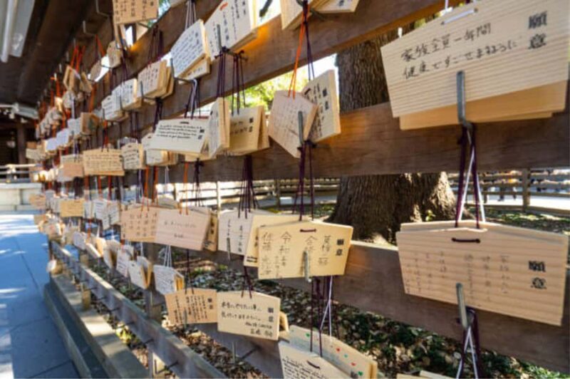 Tokyo: Meiji Shrine Walking Tour with Local Japanese Guide - Itinerary Breakdown