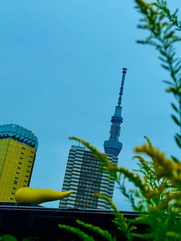 Tokyo: Midnight Halal Ramen and Mosque Tour with Guide - Value and Considerations