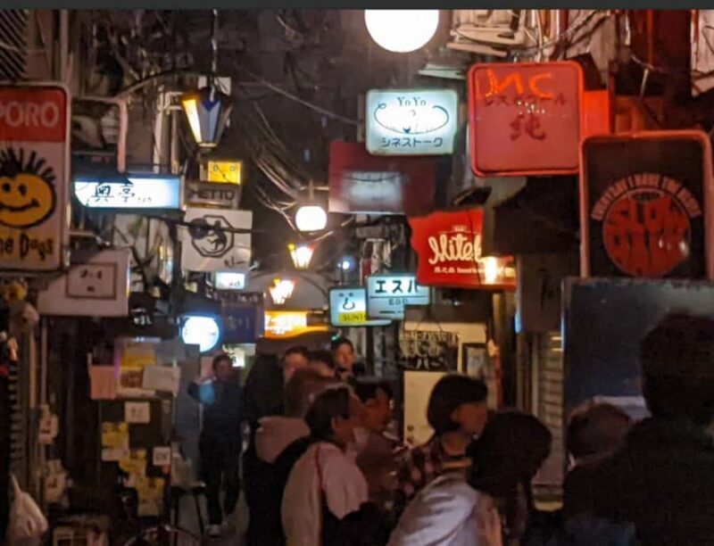 Tokyo: Modern Ninja + Kabuki Show & Bar Hopping in Shinjuku - In-Depth Review of the Experience