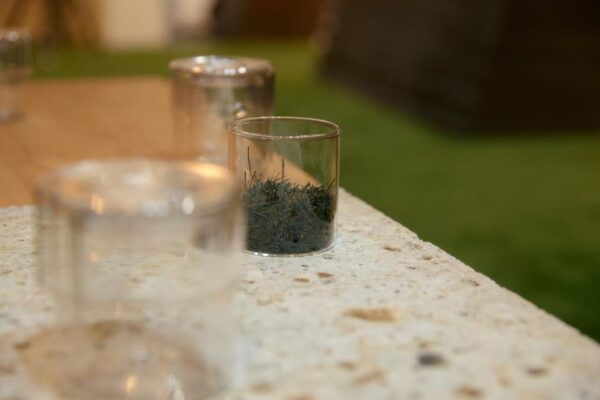 Tokyo: Morning Japanese Tea & Meditation Experience - Booking Details