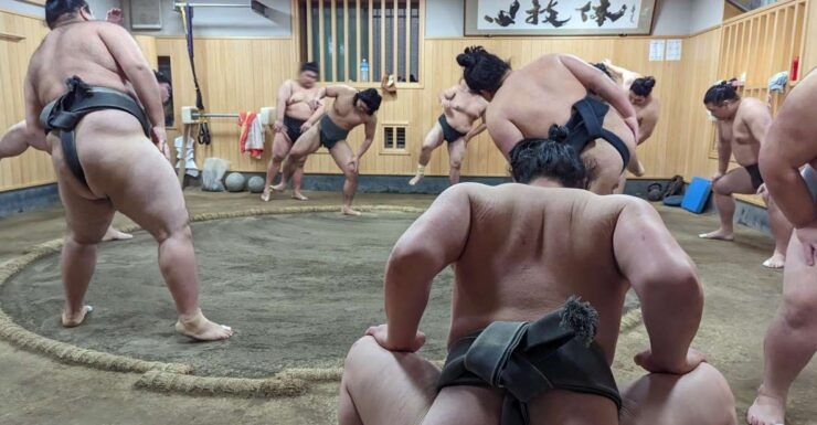 Tokyo: Morning Sumo Practice Viewing - Activity Details