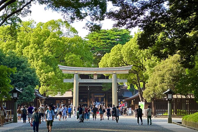 Tokyo Morning Tour: Asakusa, Meiji Shrine and Tsukiji Fish Market - Good To Know