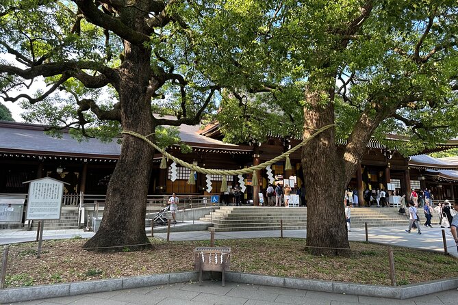 Tokyo Morning Tour: Asakusa, Meiji Shrine and Tsukiji Fish Market - Gaining Historical Insights