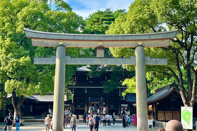 Tokyo Morning Tour: Asakusa, Meiji Shrine and Tsukiji Fish Market - Knowledgeable and Attentive Guide