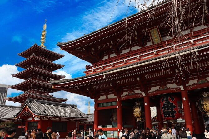 Tokyo Morning Tour : Meiji Shrine, Asakusa and Fish Market - Who Is This Tour Best For?