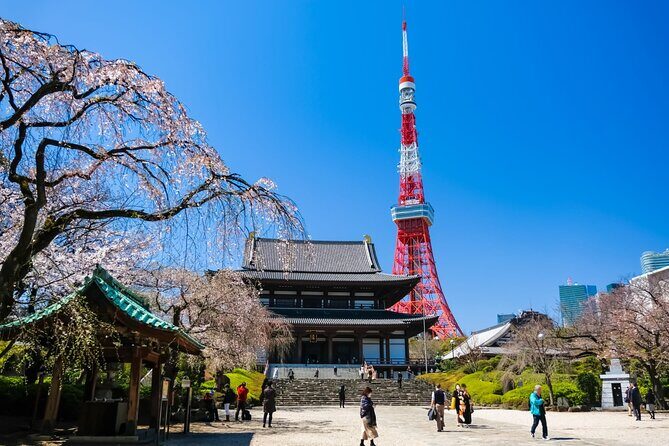 Tokyo Morning Tour Meiji Shrine, Asakusa and Local temple - Who Will Love This Tour?