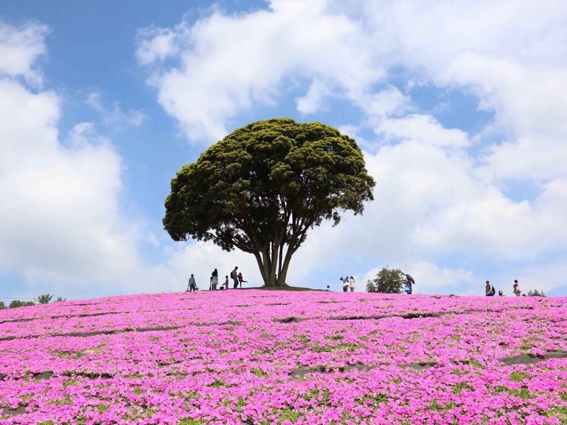 Tokyo Mother Farm & Mitsui OUTLET PARK Private Day Tour - A private ride from Tokyo changes the shape of the day