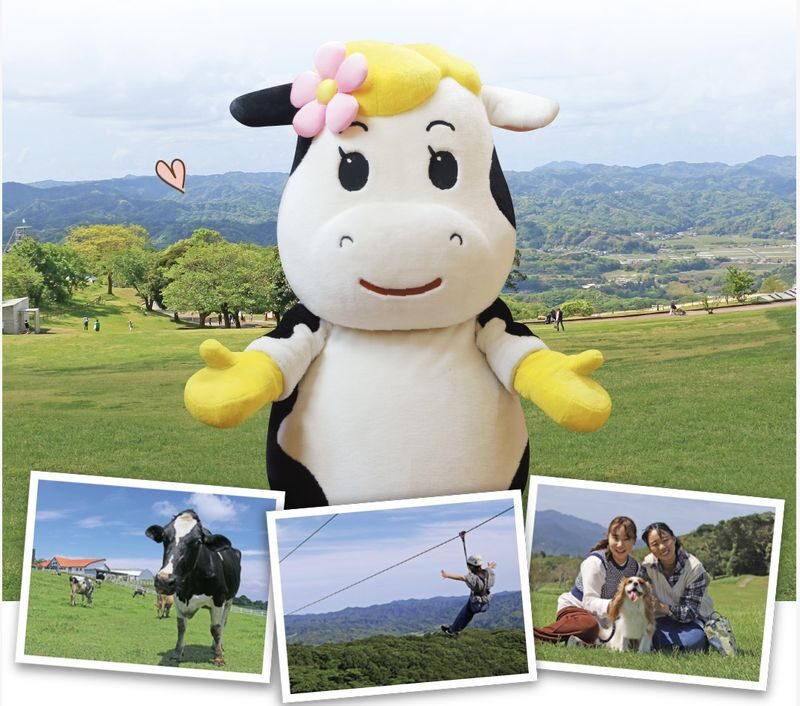 Tokyo Mother Farm & Mitsui OUTLET PARK Private Day Tour - Pick a vehicle for people and bags, not just the price