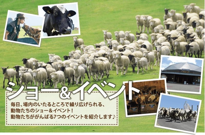 Tokyo Mother Farm & Mitsui OUTLET PARK Private Day Tour - What the price covers, and what it does not