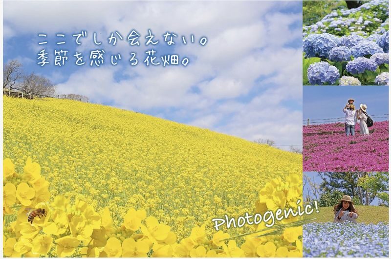Tokyo Mother Farm & Mitsui OUTLET PARK Private Day Tour - Who will get the most from this day