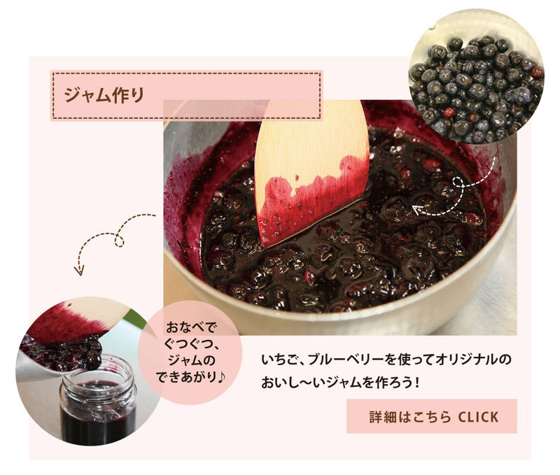Tokyo Mother Farm & Mitsui OUTLET PARK Private Day Tour - Should you book this Mother Farm and outlet day?