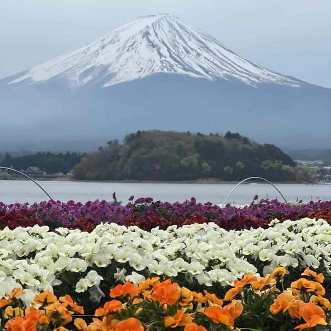Tokyo: Mount Fuji Affordable Customizable Private 1-Day Tour - Final Thoughts