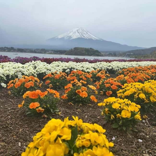 Tokyo: Mount Fuji Affordable Customizable Private 1-Day Tour - FAQs
