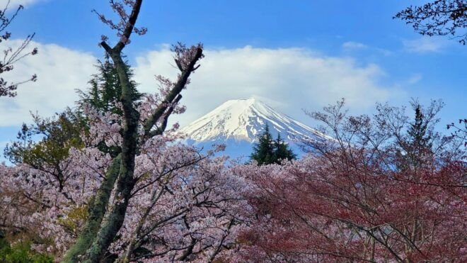 Tokyo, Mount Fuji and Hakone 3 Days Tour - Day 2: Mount Fuji Experience