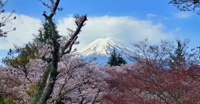 Tokyo, Mount Fuji and Hakone 3 Days Tour - Day 3: Hakone Adventure