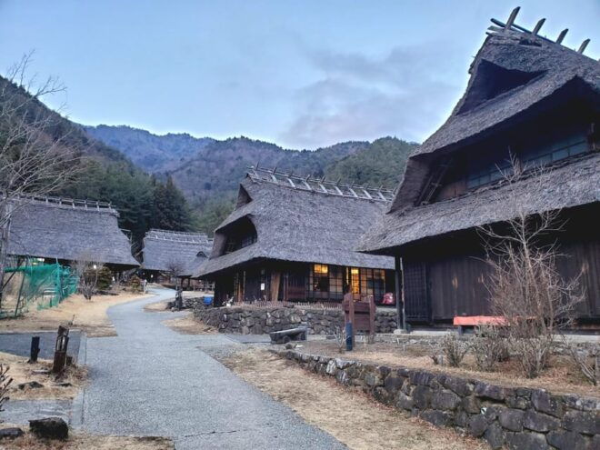 Tokyo, Mount Fuji and Hakone 3 Days Tour - Inclusions and Exclusions