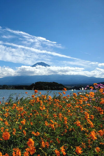 Tokyo, Mount Fuji and Hakone 3 Days Tour - Local Customs and Etiquette