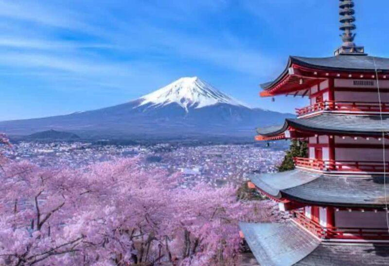 Tokyo: Mount Fuji and Hakone Private Customized Tour Guide - What makes this tour stand out?